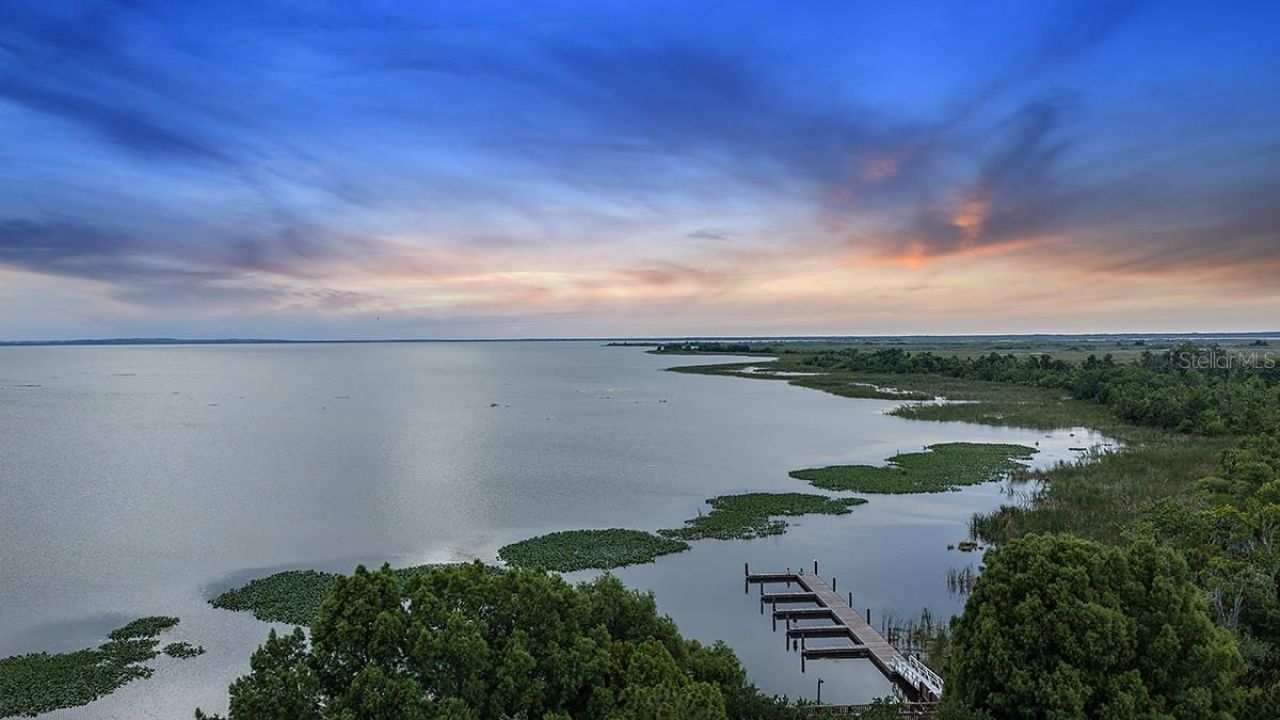 11390 Bourbon Rose Circle, Winter Garden, FL 34787 Photo