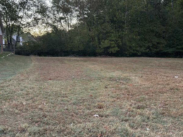 9867 MAGGIE WOODS LN, Memphis, TN 38002