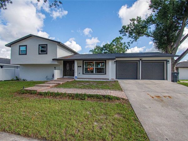 8317 FOUNTAIN AVENUE , TAMPA, FL 33615