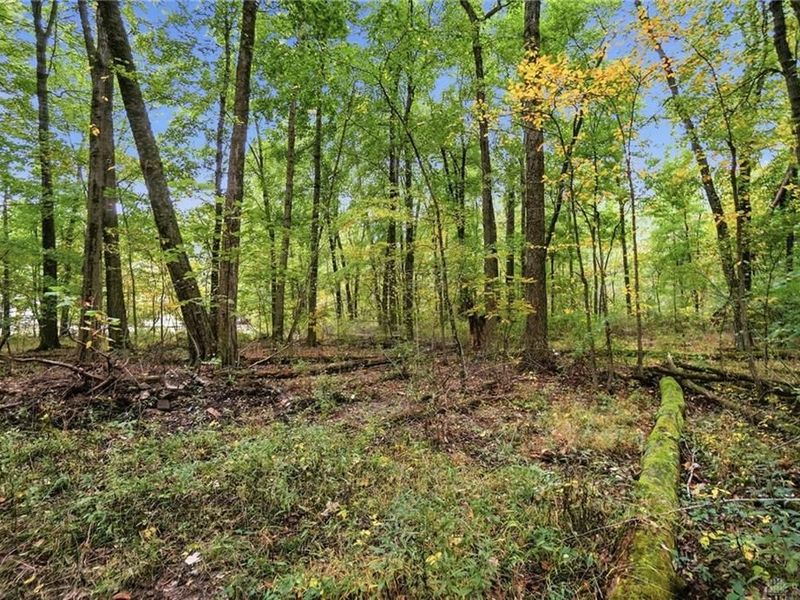 3978 Pettett Drive, Blanchester, OH 45107 Photo 29