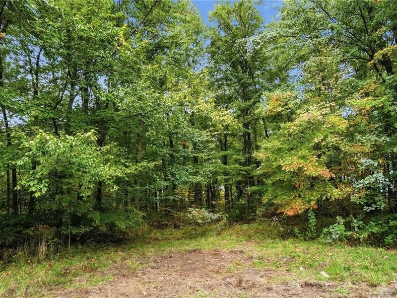 3978 Pettett Drive, Blanchester, OH 45107 Photo 32