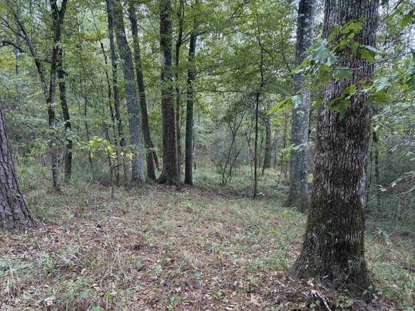TBD Sweetwood Crossing, St Francisville, LA 70775