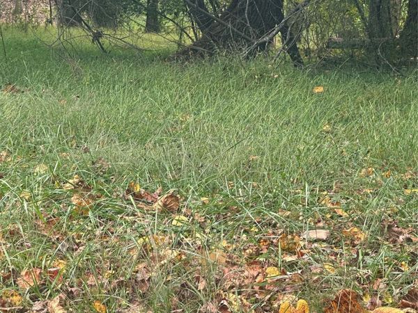 Lot 121 Friar Court, North Wilkesboro, NC 28659