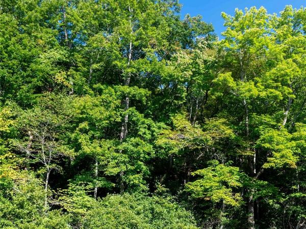 000 Sanctuary Drive , Burnsville, NC 28714