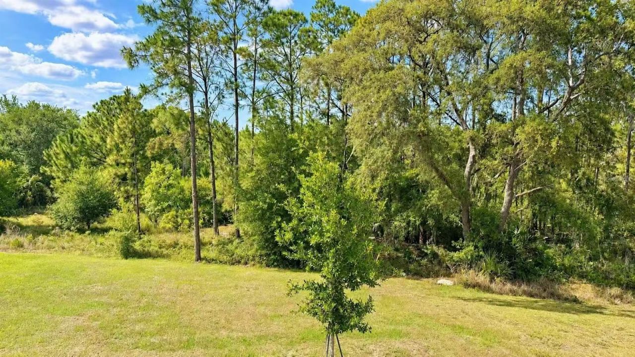 17424 Back Bay Court , Clermont, FL 34714 Photo