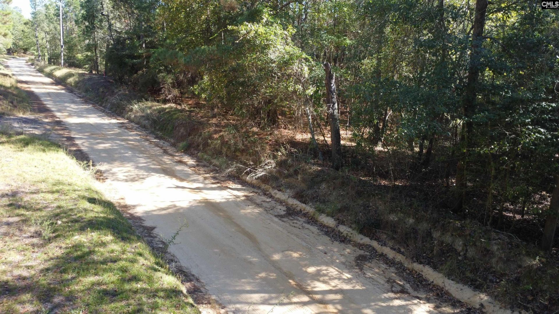 351 Camp Branch Road  Photo 13