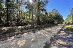 351 Camp Branch Road  photo 4