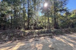351 Camp Branch Road  photo 4