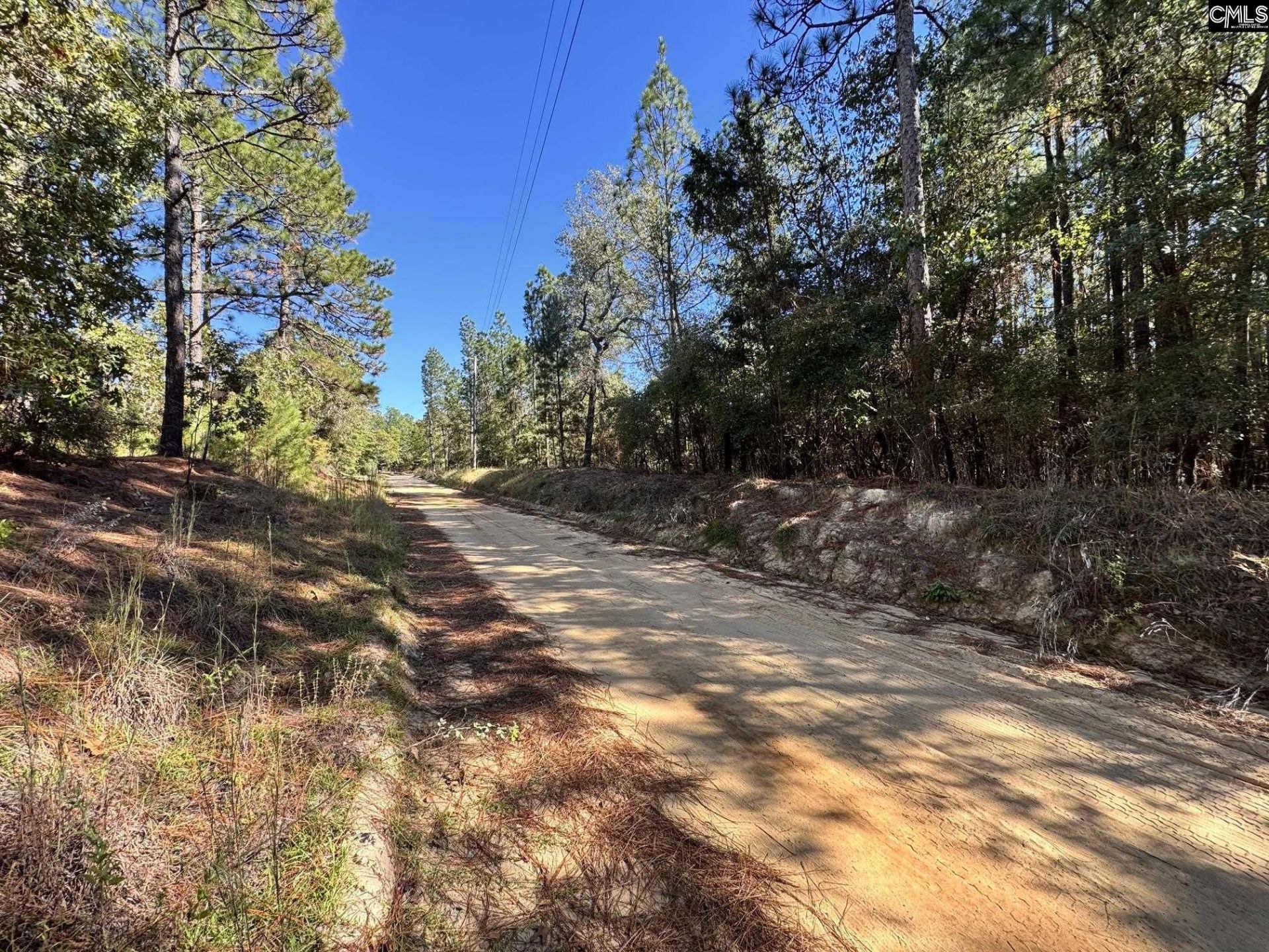351 Camp Branch Road  Photo 4