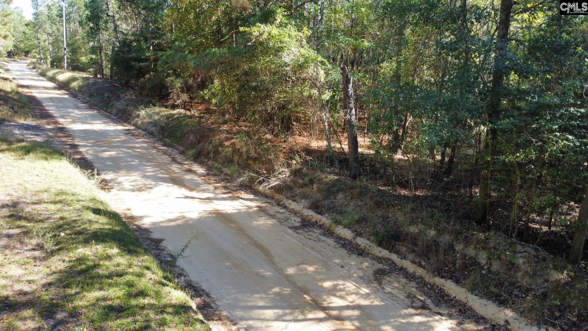 351 Camp Branch Road  Photo 5
