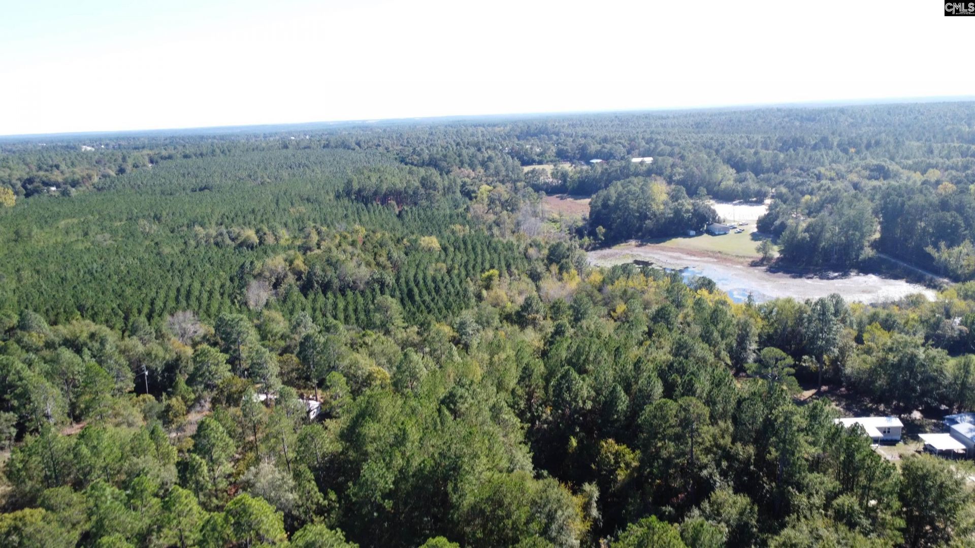 351 Camp Branch Road  Photo 8