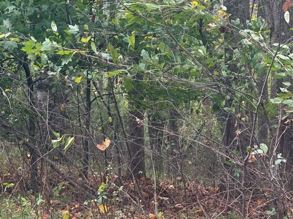 Lot 120 Friar Court , North Wilkesboro, NC 28659