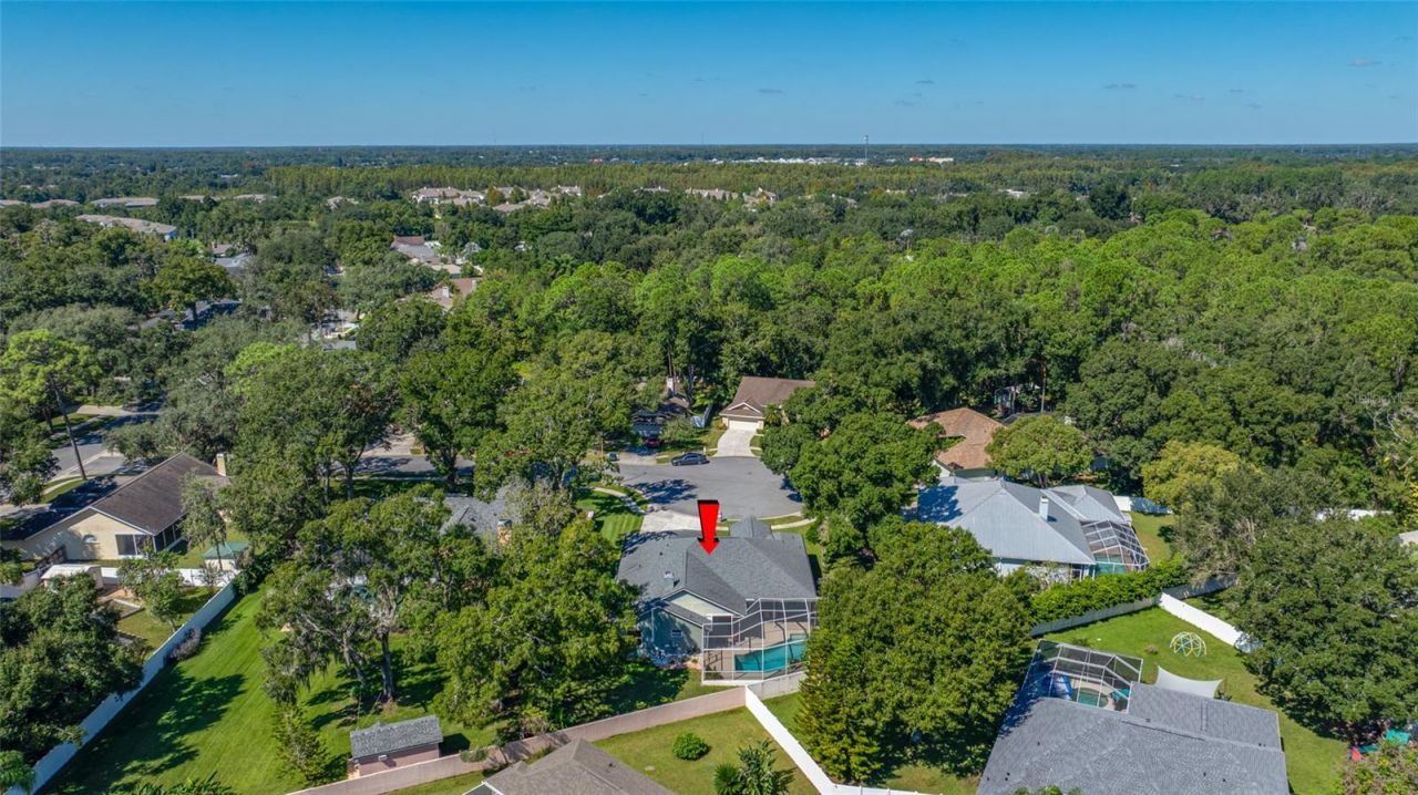 1648 Woodridge Court , Lutz, FL 33559 Photo