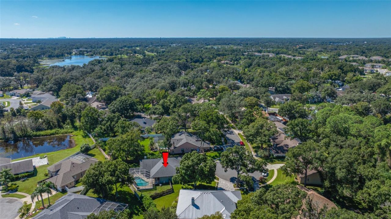 1648 Woodridge Court , Lutz, FL 33559 Photo