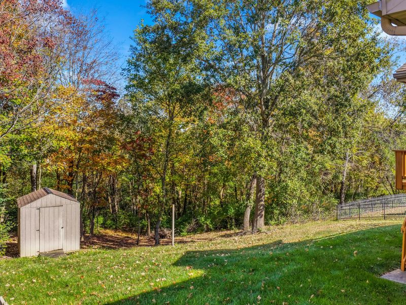 4391 Courier Court, Independence, KY 41051 Photo 47