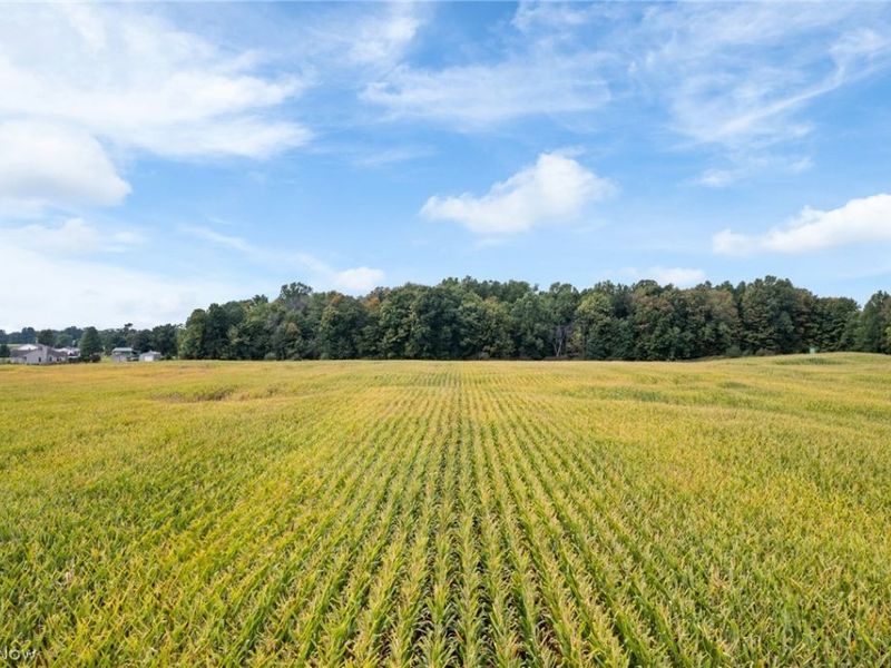 3499 Stroup Road, Unit 1-4, Rootstown, OH 44272 Photo 5