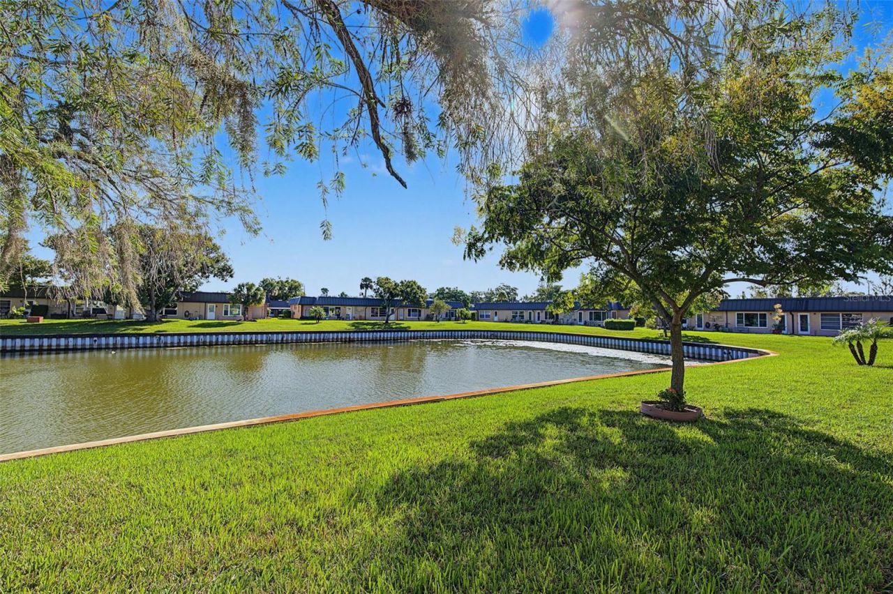 4364 Summersun Drive, New Port Richey, FL 34652 Photo