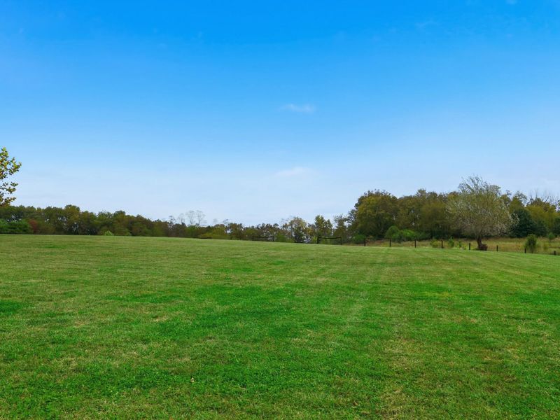 130 Lighthouse Way, Midway, KY 40347 Photo 34