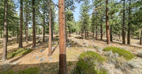 450 Mcfaul Way, Unit 18, Zephyr Cove, NV 89448 Photo