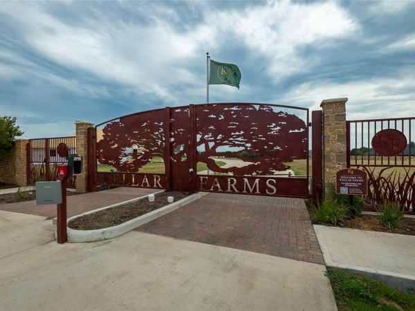 229 Hydrangea DR, Smithville, TX 78957