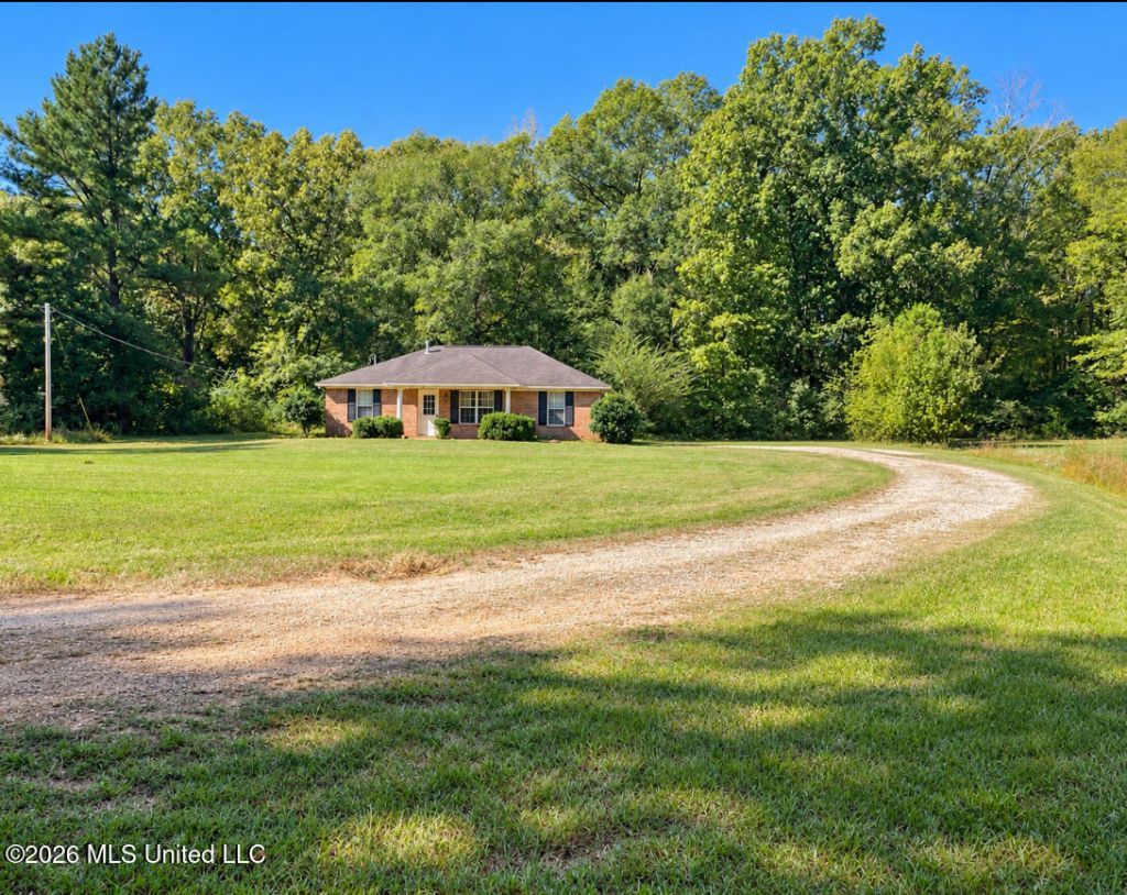 295 S Mississippi 305 Olive Branch, MS 38654