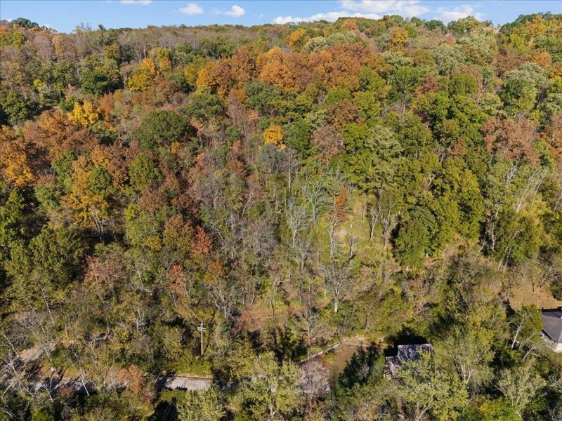 2270 Rust Drive, Taylor Mill, KY 41015 Photo 3