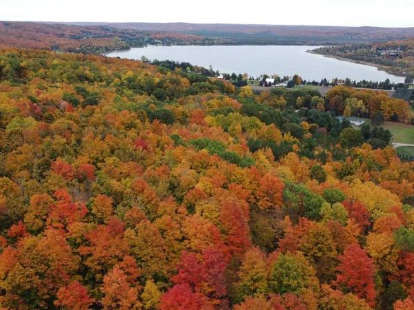 1470 Fall Park Road, Boyne City, MI 49712