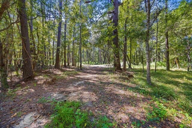 4274 River Road Photo 6