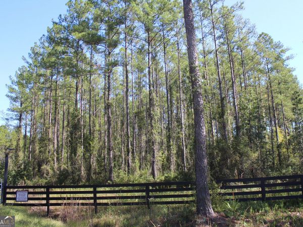 0 Old Reserve Road, White Oak, GA 31568