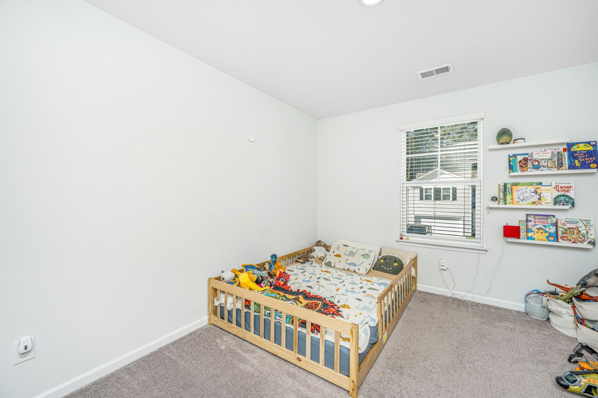 310 Mincy Street Photo 19