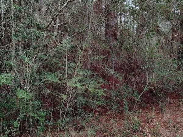 Laura St Street, Lumberton, MS 39455