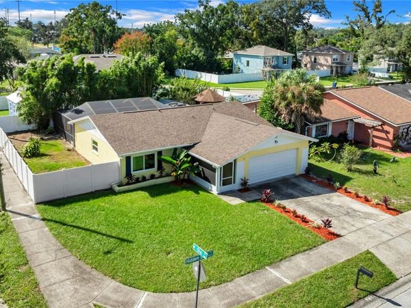 9602 HIDDEN OAKS CIRCLE , TAMPA, FL 33612