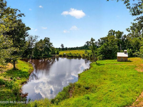 40 Acres Slade Woodward Road, Poplarville, MS 39470
