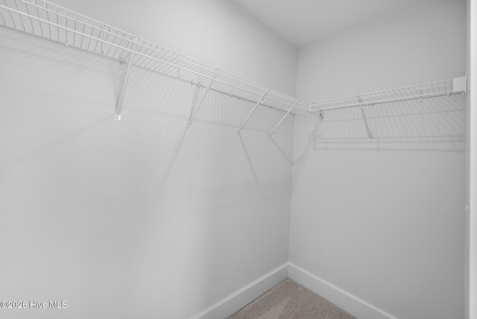 6055 Painted Turtle Place Photo 35