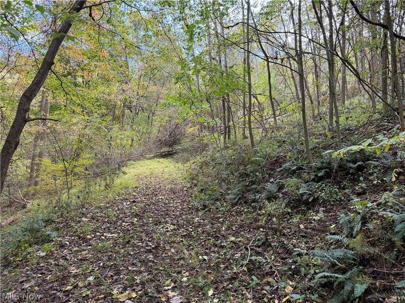 0 County Road 106, Newcomerstown, OH 43832 Photo 11