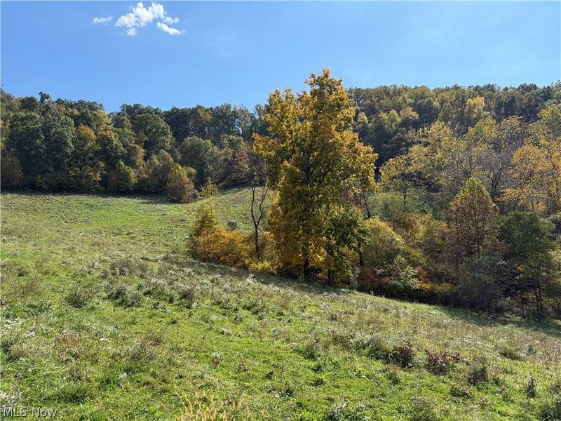 0 County Road 106, Newcomerstown, OH 43832 Photo 13