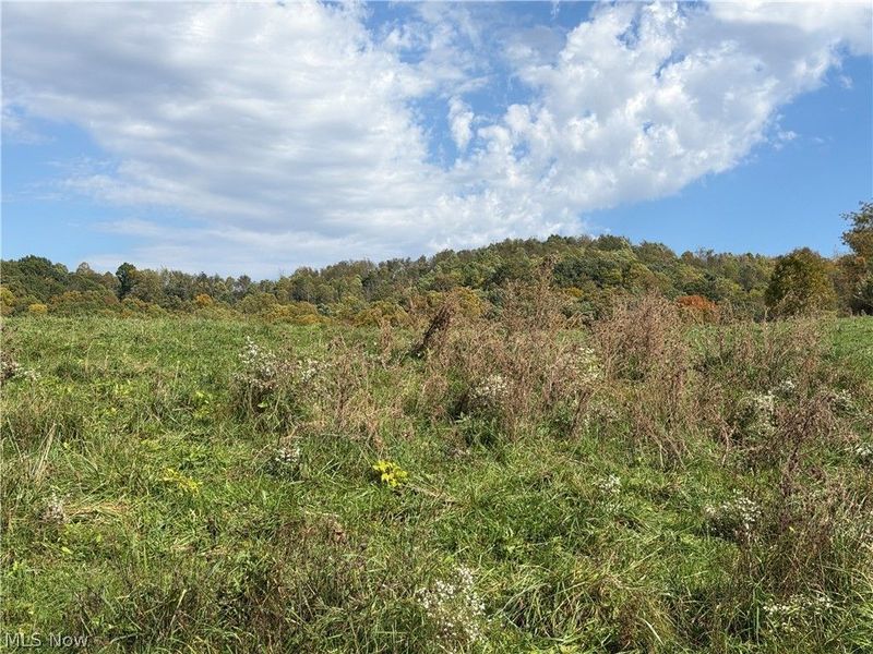 0 County Road 106, Newcomerstown, OH 43832 Photo 4