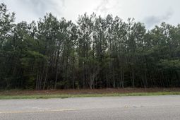 Tract B Earle Rd.  photo 4