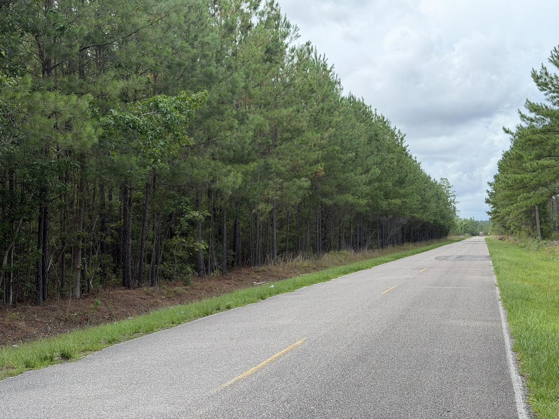 Tract B Earle Rd.  Photo 4