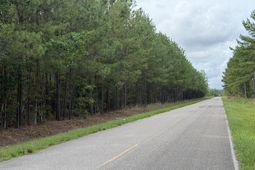 Tract B Earle Rd.  photo 4