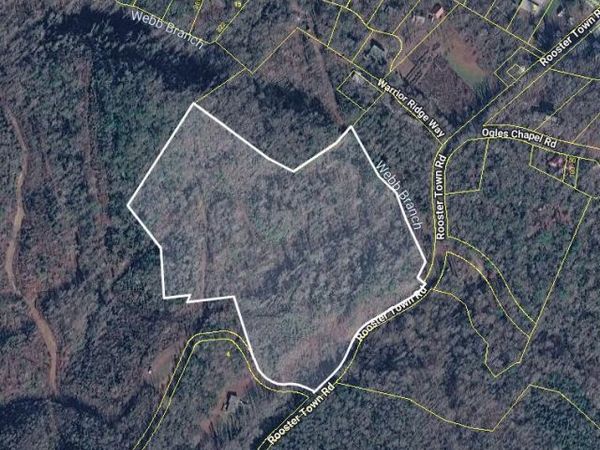 Rooster Town Rd, Cosby, TN 37722
