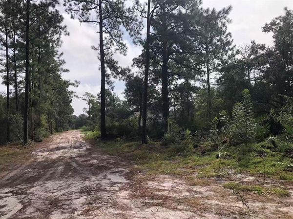 PARK FOREST BOULEVARD , MOUNT DORA, FL 32757
