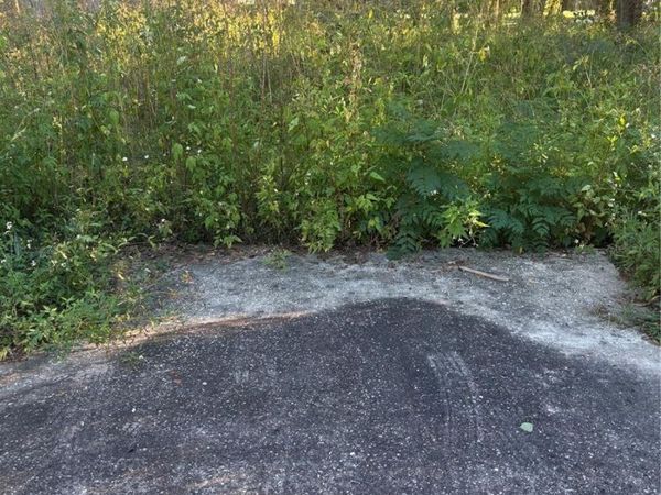 NW 1ST STREET , OCALA, FL 34475