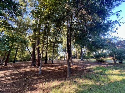 0 Churchill Road, Walterboro, SC 29488