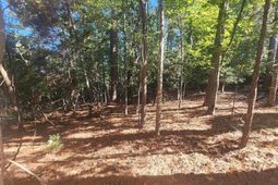 610 Timberlake Drive  photo 4