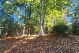 610 Timberlake Drive  photo 4