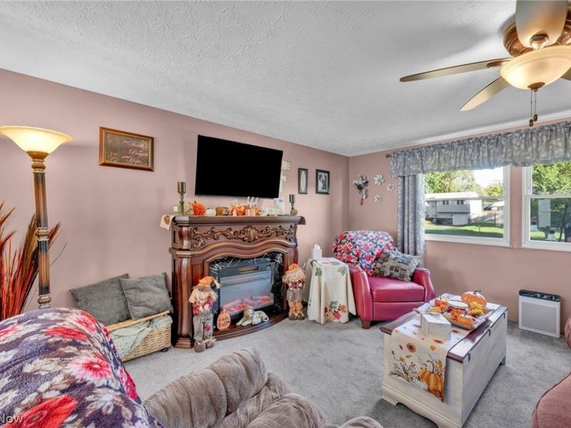 702 Oberlin Place, Austintown, OH 44515 Photo 4