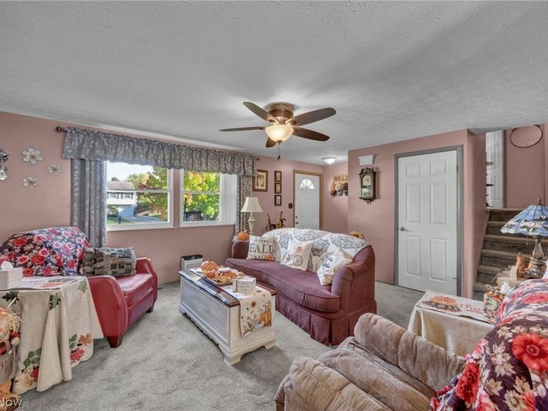 702 Oberlin Place, Austintown, OH 44515 Photo 6