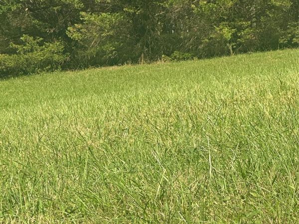 Lot 104 Parson Lane , North Wilkesboro, NC 28659