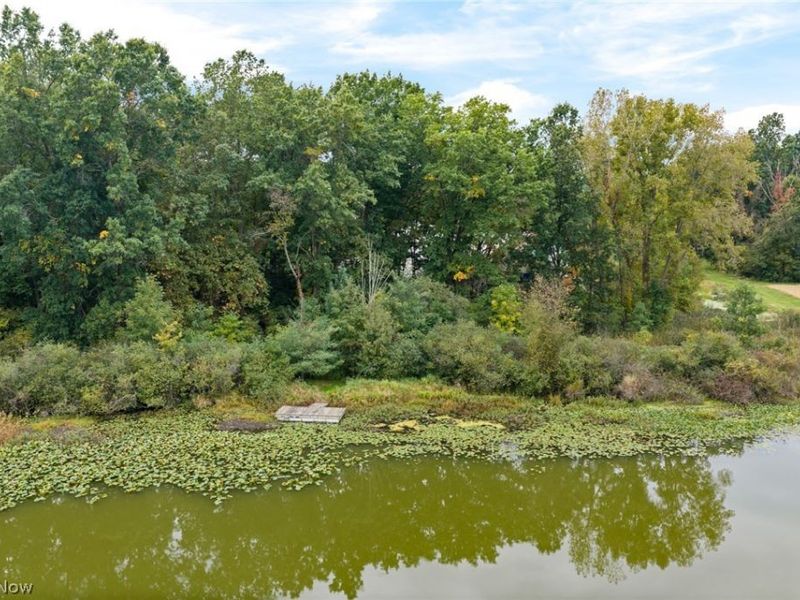 14236 Galehouse Road , Doylestown, OH 44230 Photo 36